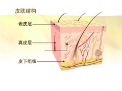 100塊和1000塊的面霜，涂在臉上效果真的會差10倍