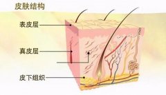 夏末秋初，免疫力低的人最易染上這6大皮膚病